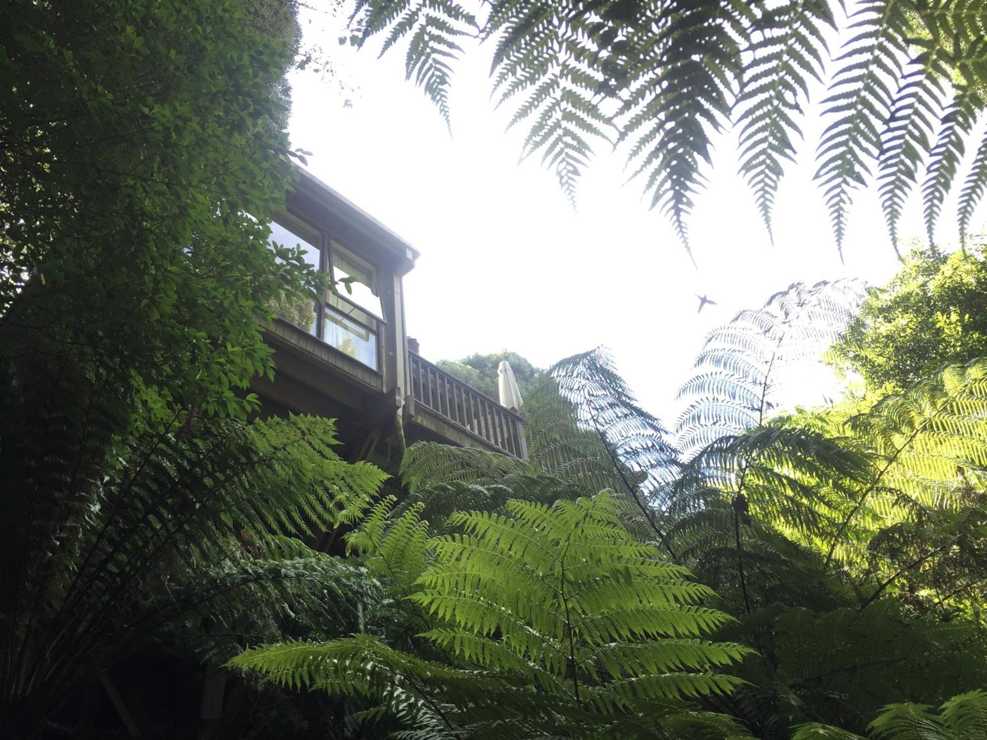 Sassafras Treehouse Private Home In The Dandenong Ranges, Victoria מראה חיצוני תמונה