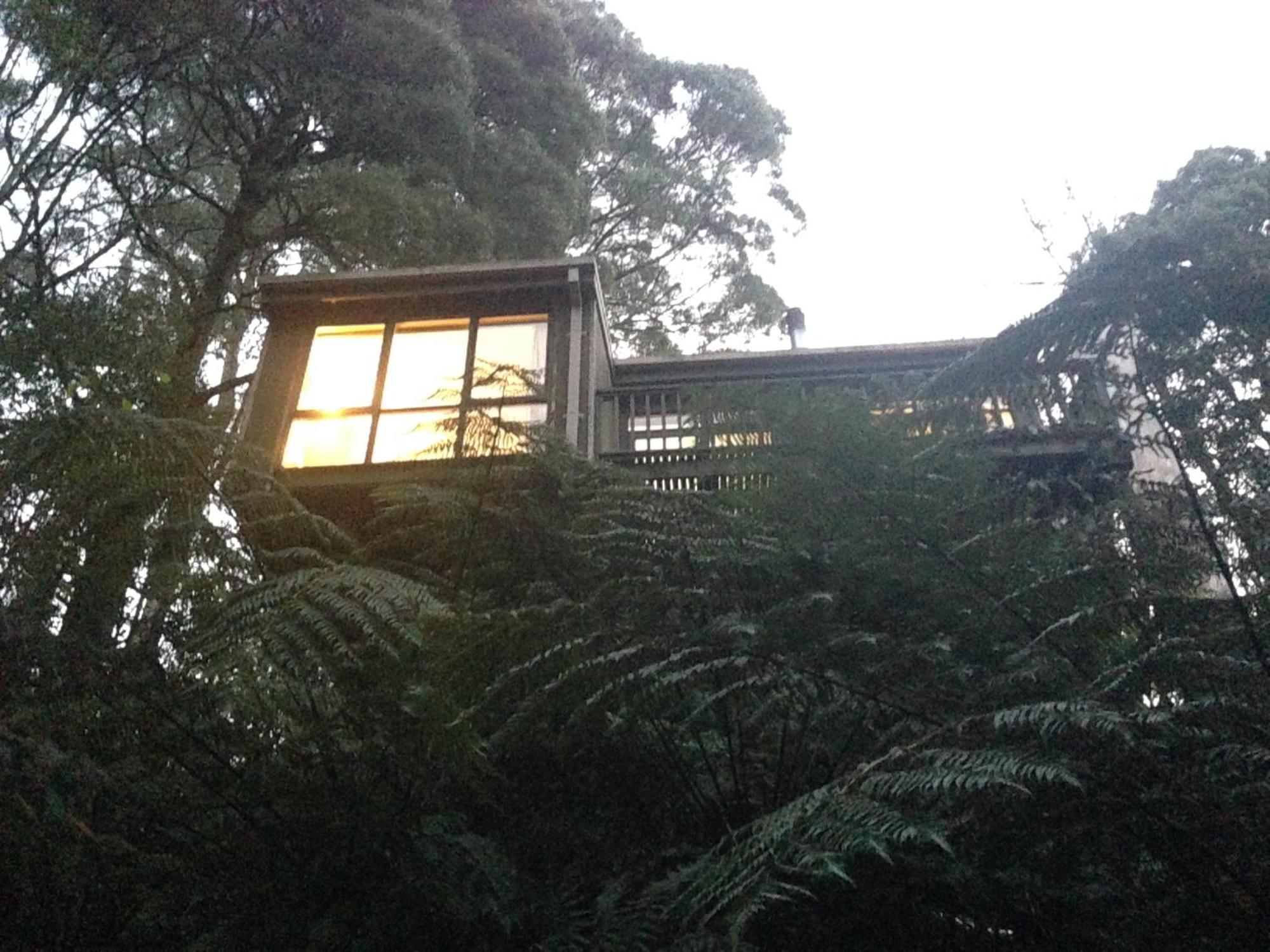 Sassafras Treehouse Private Home In The Dandenong Ranges, Victoria מראה חיצוני תמונה