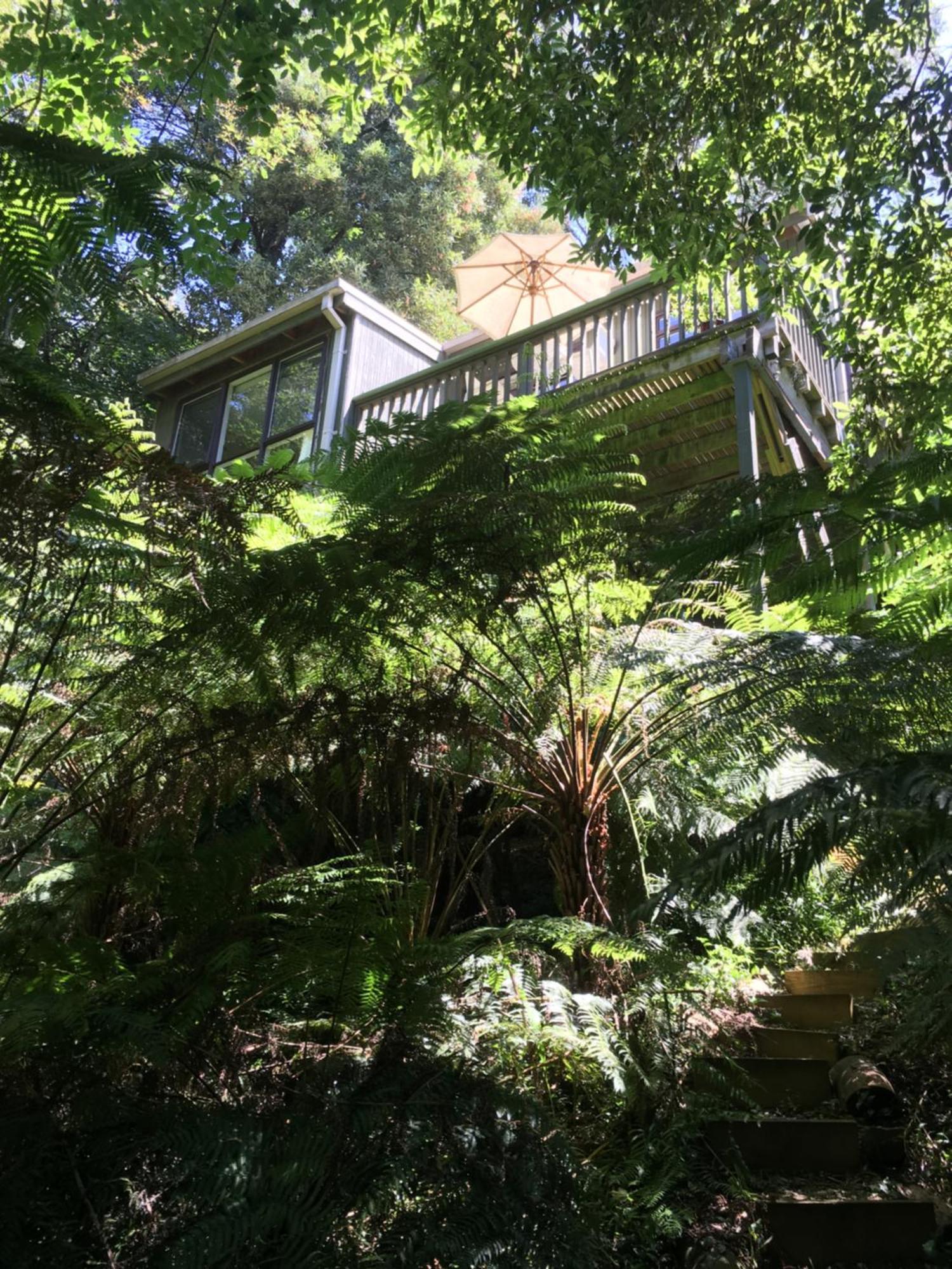Sassafras Treehouse Private Home In The Dandenong Ranges, Victoria מראה חיצוני תמונה