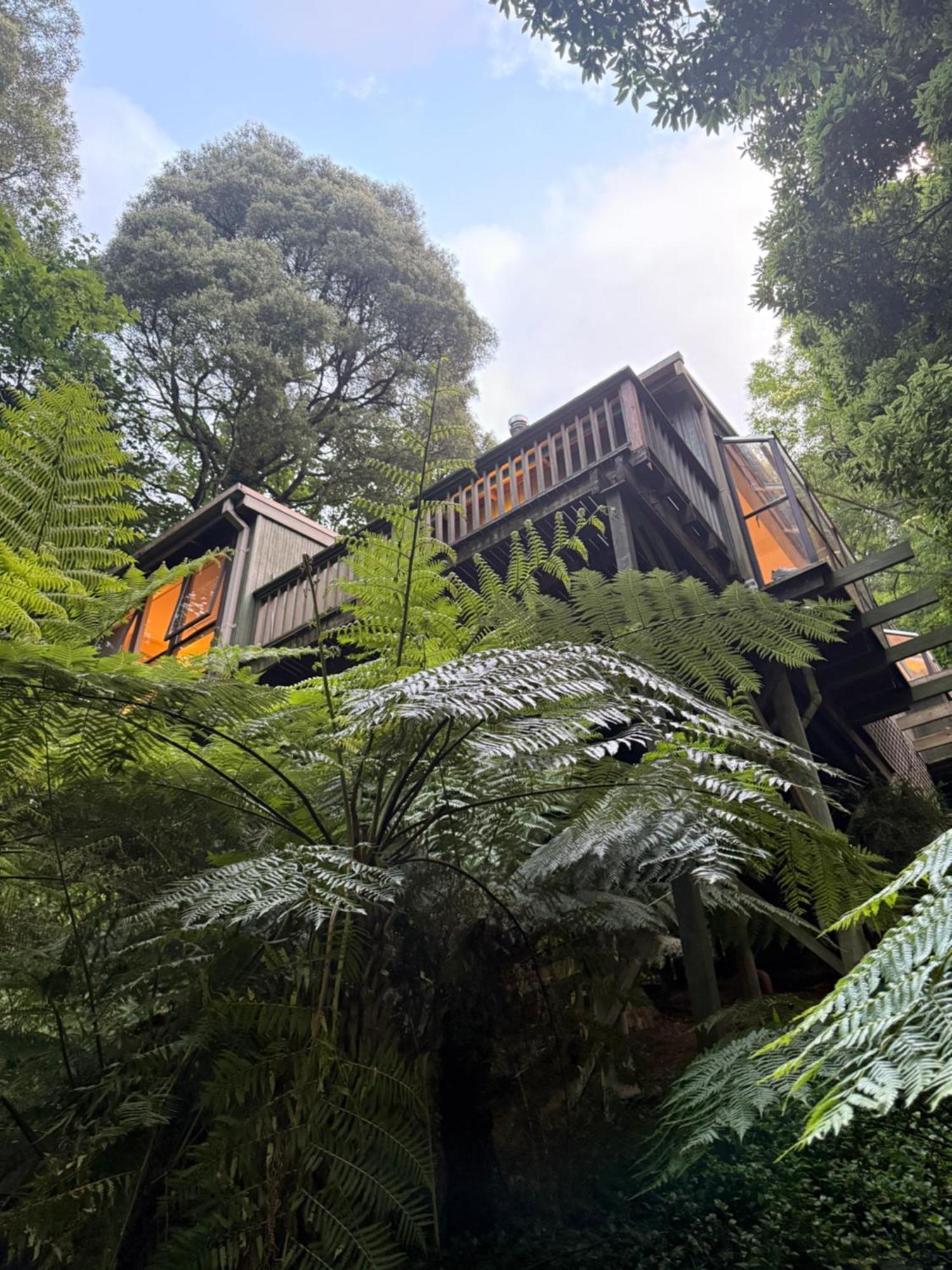 Sassafras Treehouse Private Home In The Dandenong Ranges, Victoria מראה חיצוני תמונה